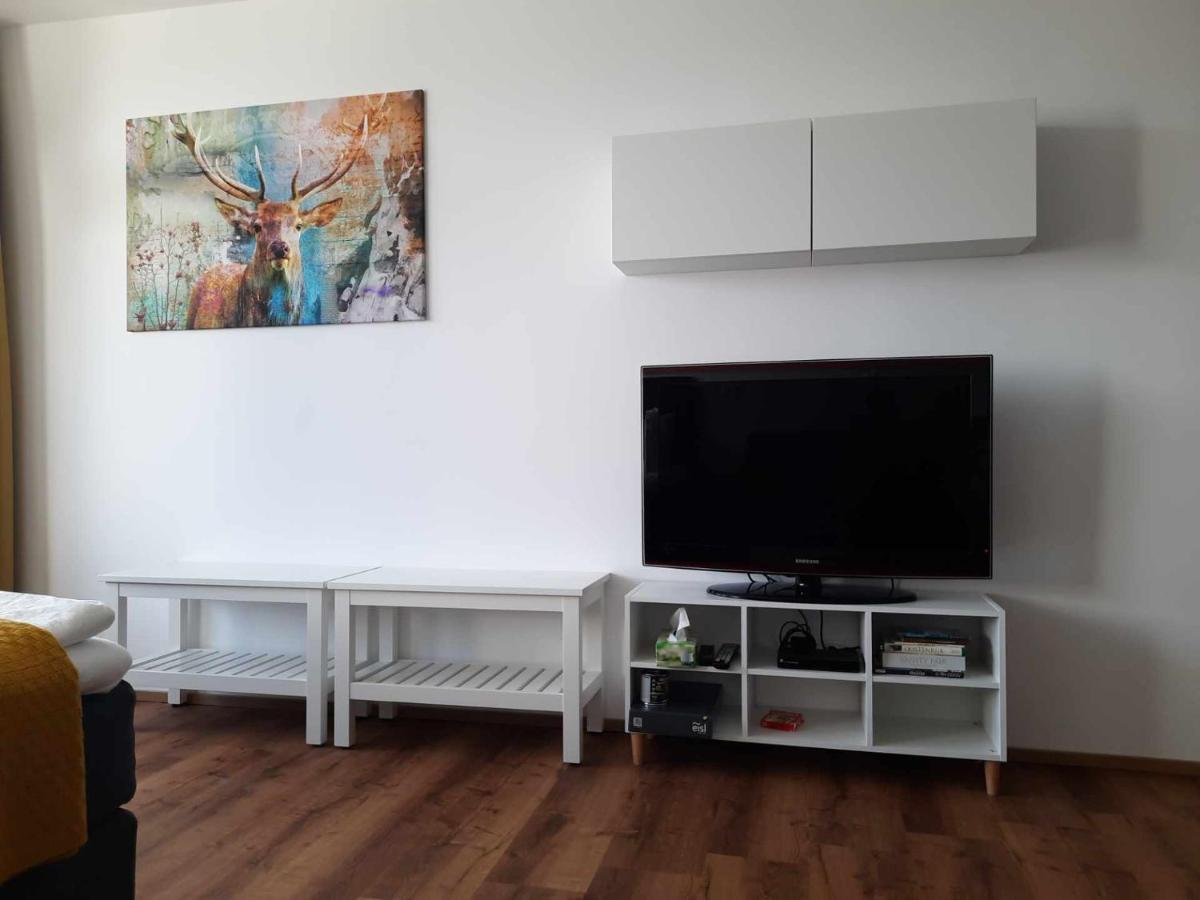 Ferienwohnung Panoramaglueck 巴德哥依斯恩 外观 照片